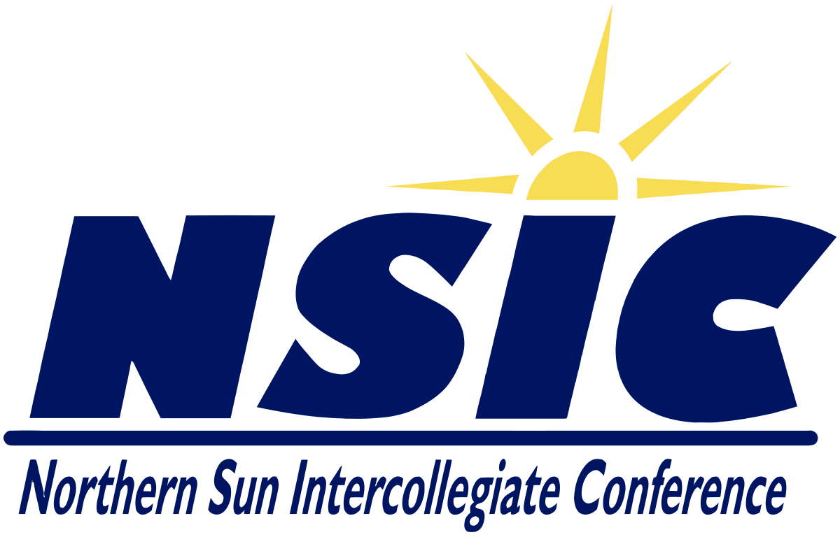 NSIC Logo